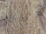 EP Tarantula Hairy Legs Brush