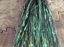 Flashabou Dyed Pearl Olive/Pearl