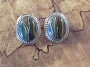 Rainbow Calsilica Stone Post Earrings 1
