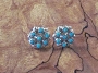 Delores Peina Turquoise Post Earrings 1/2