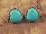 Jessie Claw Turquoise Post Earrings 1