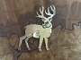 Clement Honie Mule Deer Pin