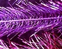 Holographic & Tri-Lobal Hackle