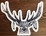 Elk Wanderer Sticker