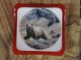 Grizzly Bear Anything Dish 3 Inch