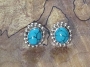 Navajo Spiderweb Turquoise PostEarrings 1/2