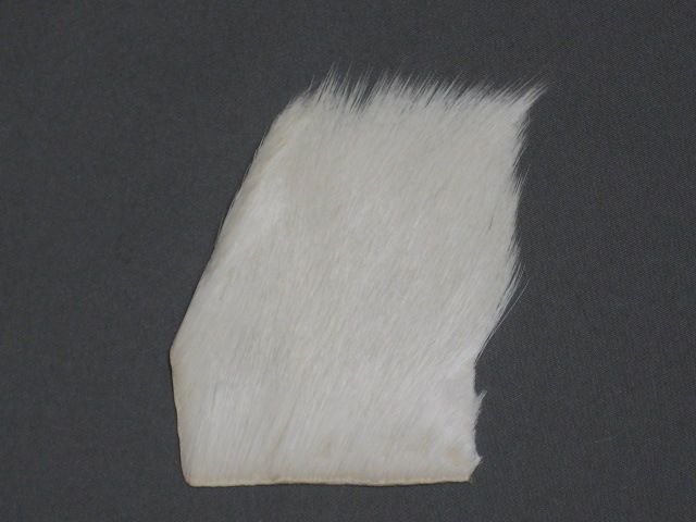 Calf Body Hair Patch White in Natural Hair & Fur