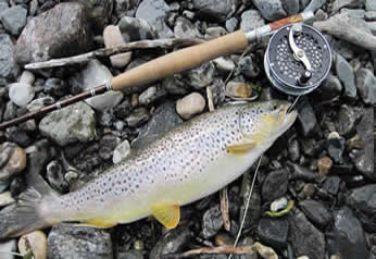 https://www.beartoothflyfishing.com/flyfishingreports/images/6-8-12-1_000.jpg