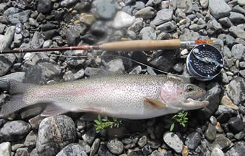 https://www.beartoothflyfishing.com/flyfishingreports/images/6-8-12-2.jpg