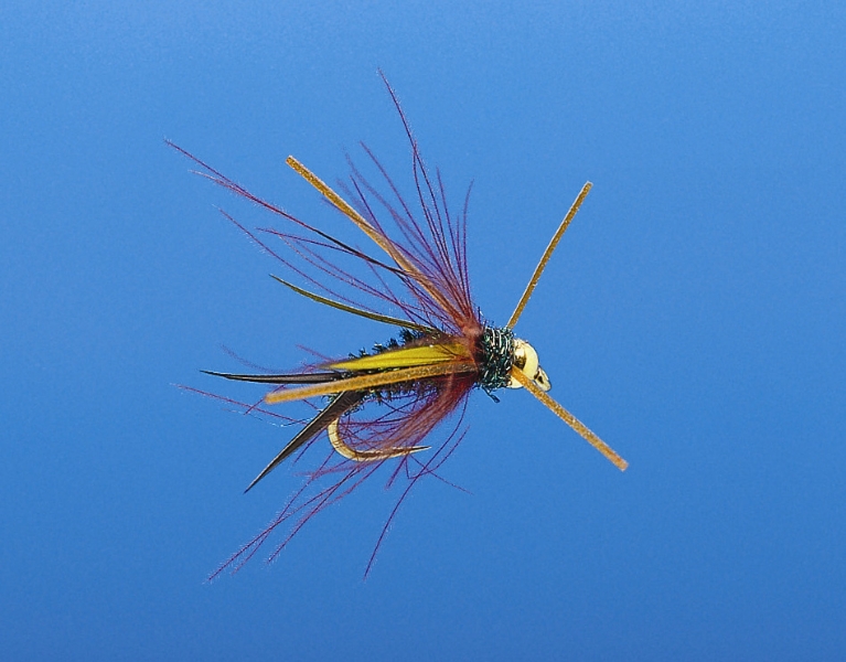 Caddis and Mayfly Nymphs Beartooth Flyfishing