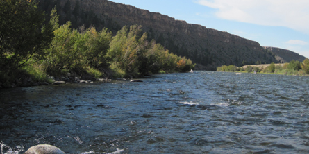 Montana Fly Fishing - Beartooth Flyfishing Homepage