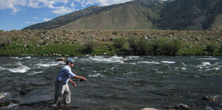 Fly Fishing Montana - Upper Madison River - Beartooth Flyfishing